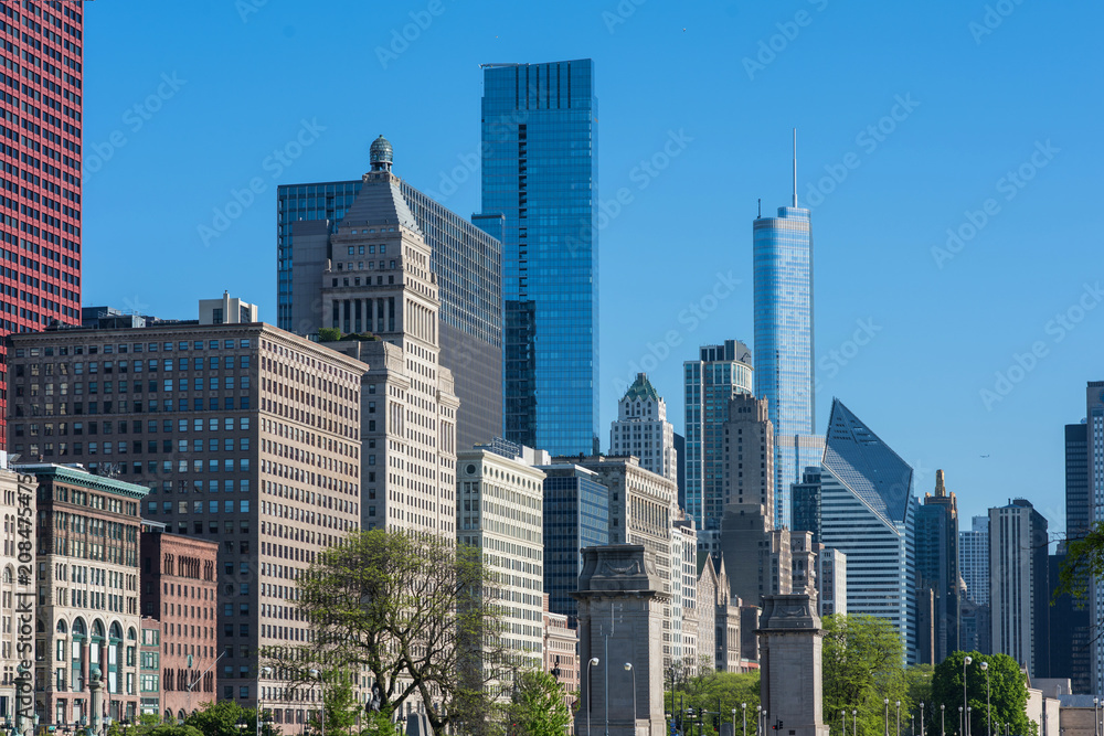Fototapeta premium View of The Chicago downtown and skyscrapers,Illinois, USA 
