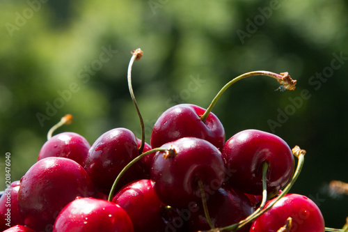 juicy handfull of strawberries on the background of nature