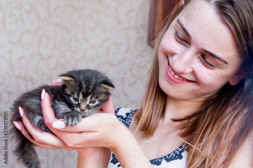 Girl holds a little kitten on her hands. Little kitten in safe hands. Joy of communicating with animals_