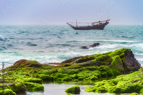 Oman Salalah green Nature   photo