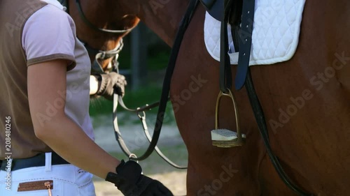 a young girl, a rider, a jockey, adjusts stirrups on saddle, prepares a horse for riding lessons photo