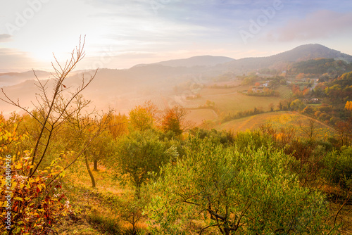 Tuscan vineyard in the morning