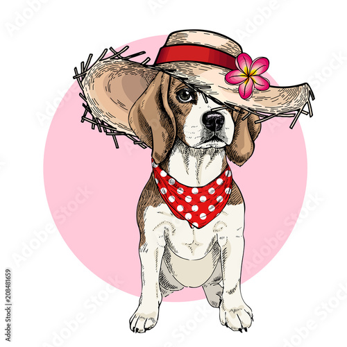 Vector portrait of beagle dog wearing straw hat, flower and polka dot bandana. Summer fashion cartoon illustration. Hand drawn pet portait. Poster, t-shirt print, holiday, postcard, summertime