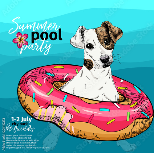 Vector portrait of Jack Russel terrier dog swimming in water. Donut float. Summer pool paty illustration. Sea, ocean, beach. Hand drawn portait. Poster, t-shirt print, holiday, postcard, summertime.