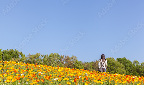 Young woman in colorful poppy field © EvergreenPlanet