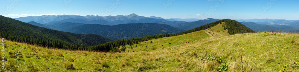 Summer mountain view (Carpathian, Ukraine).
