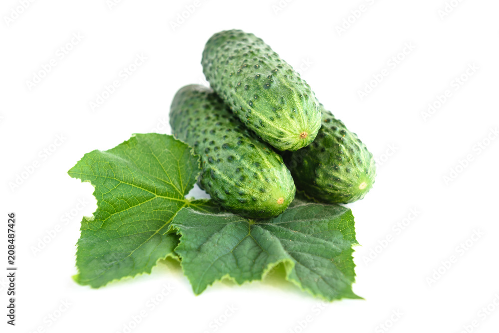 Cucumbers isolated on white background. Cucumbers isolated on white background.