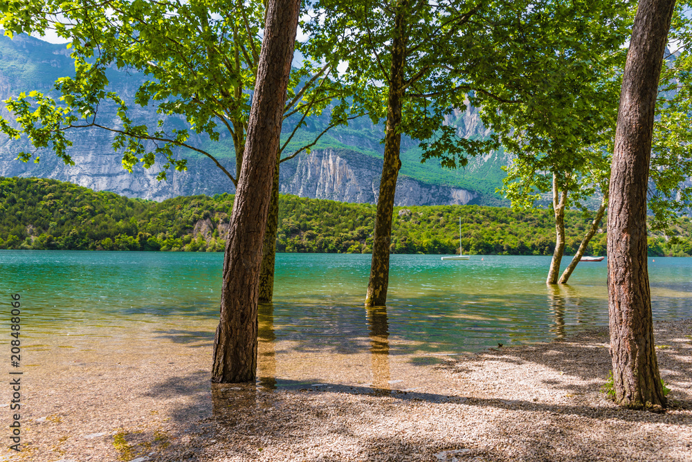 Bäume am Ufer des Lago di Cavedine, Arco, Gardasee, Trentino, Italien