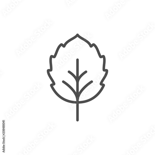 Leaf line icon