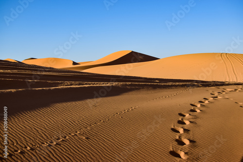 The traces left by time in the Sahara desert. Photograph taken somewhere in the Sahara desert in Merzouga Morocco