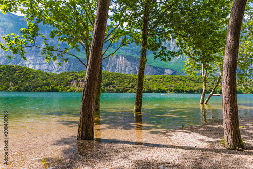 B  ume am Ufer des Lago di Cavedine  Arco  Gardasee  Trentino  Italien