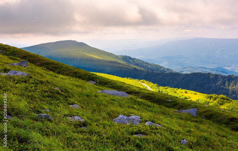 grassy slopes of Runa mountain in the morning. beautiful summer landscape of Carpathian mountains