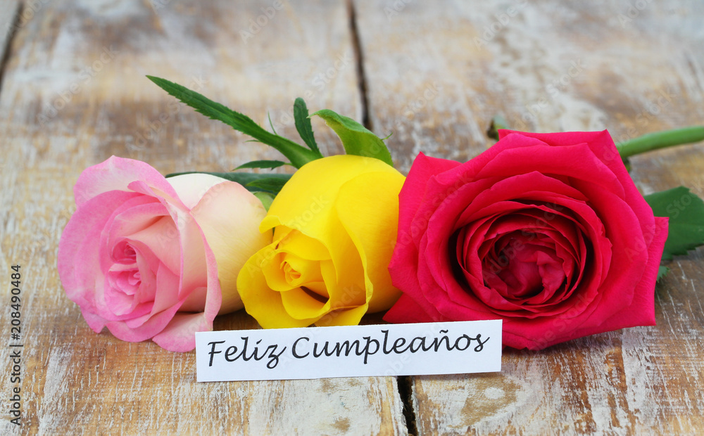 Feliz cumpleanos (Happy birthday in Spanish) card with colorful roses