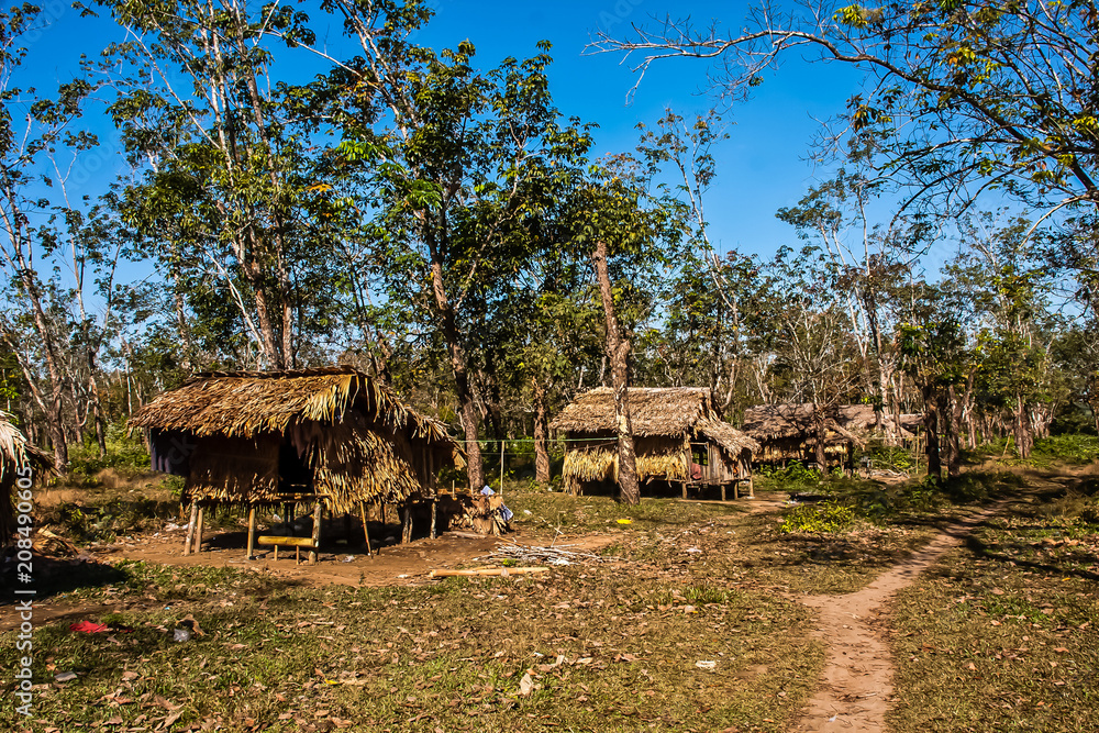 A village of workers in the plantation of rubber plants, Bago, Myanmar A village of workers in the plantation of rubber plants, Bago, Myanmar