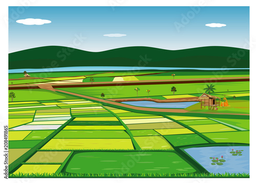 large paddy field vector design