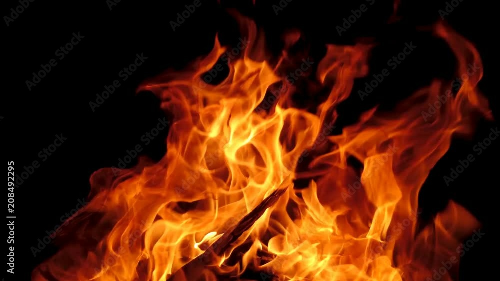 Closeup orange fire flame on black background. Hot flames from wooden logs in fireplace. Firewood burn in campfire. Closeup orange fire flame on black background. Hot flames from wooden logs in fireplace. Firewood burn in campfire.