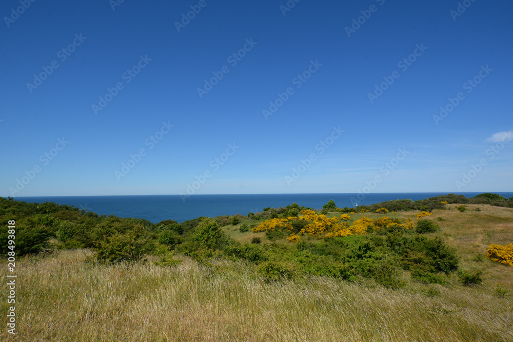 Aussicht - Insel Hiddensee, Rügen