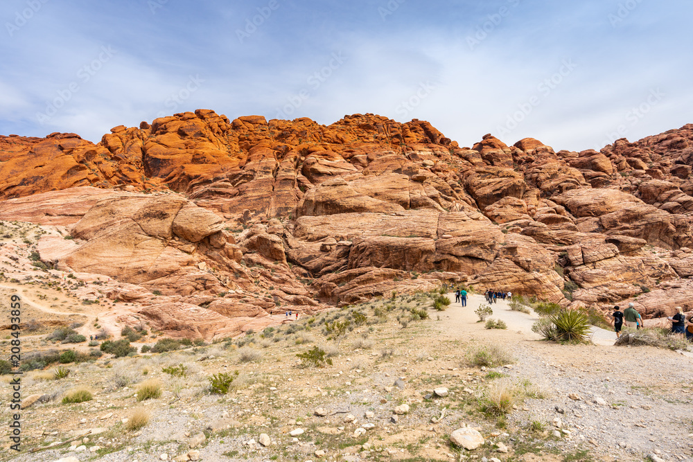 Fototapeta premium Red Rock Canyon Las Vegas