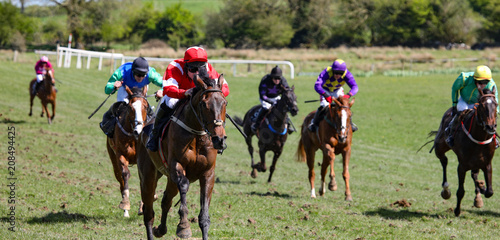Race horses and jockeys competing 