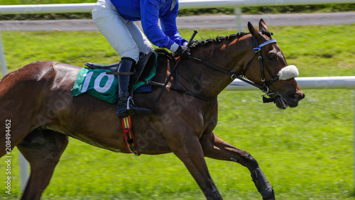 close up on running race horse