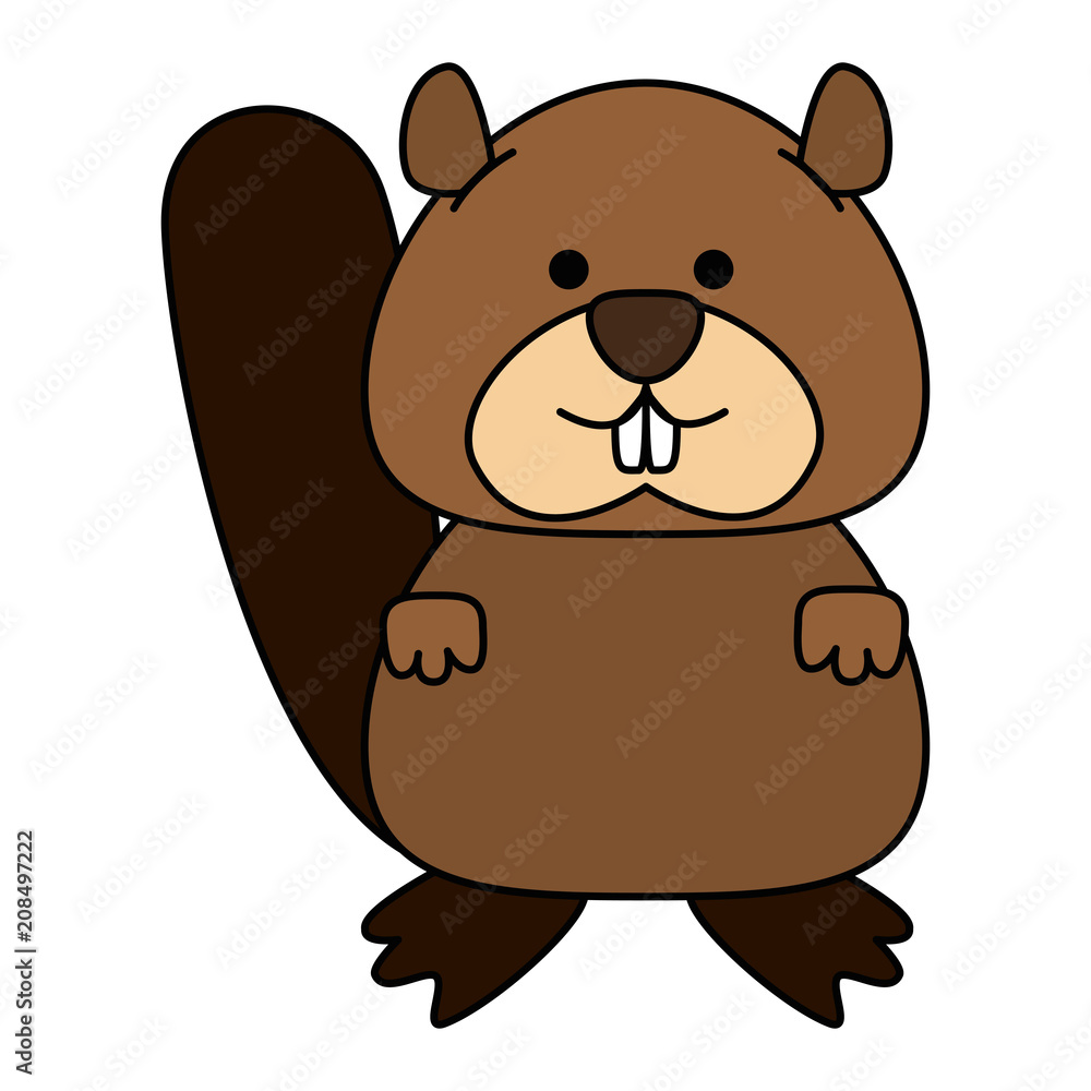 cute canadian marmot icon vector illustration design cute canadian marmot icon vector illustration design