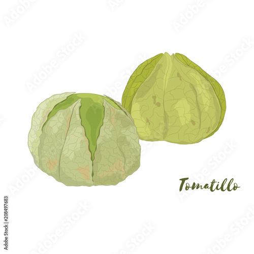 Tomatillo. Flat design. Vector illustration.