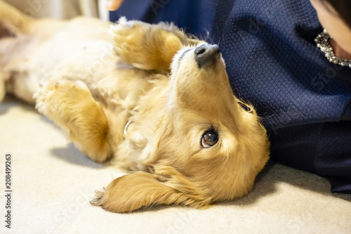 若い女性と室内犬が横に並んで寝ころがる