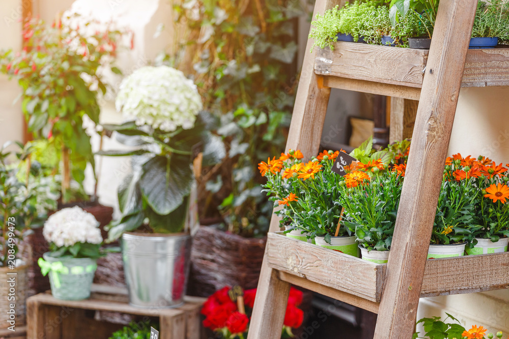 Outdoor flower shop or floral market with decorative bouquets and plants