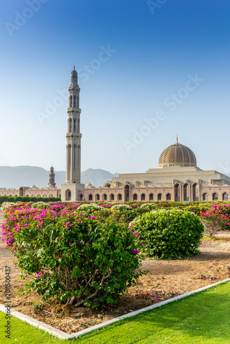 The geometric beauty of  of the Muscat Grand Mosque and its garden in the early morning - 9