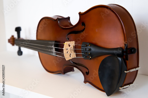 violin