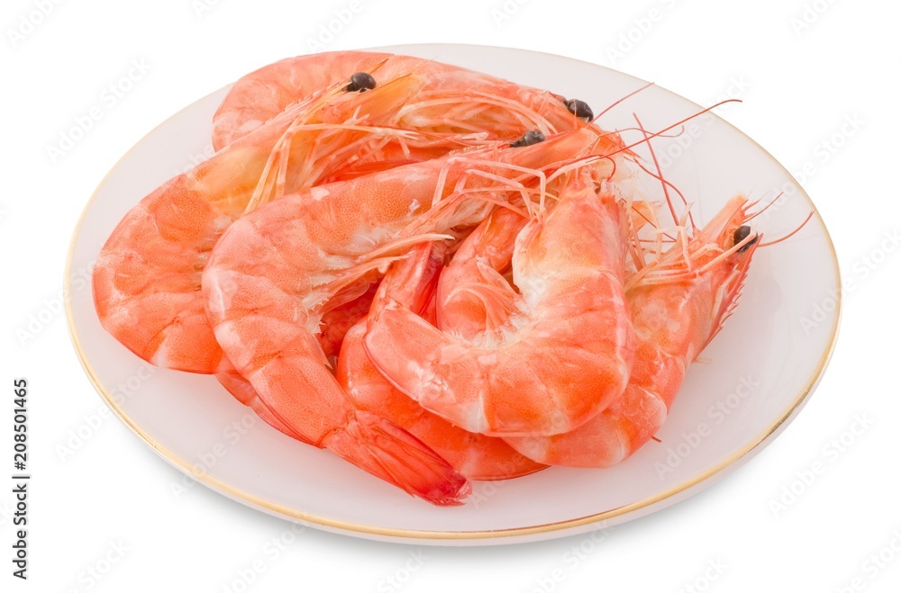 Cooked Prawns or Tiger Shrimps in White Plate Cooked Prawns or Tiger Shrimps in White Plate