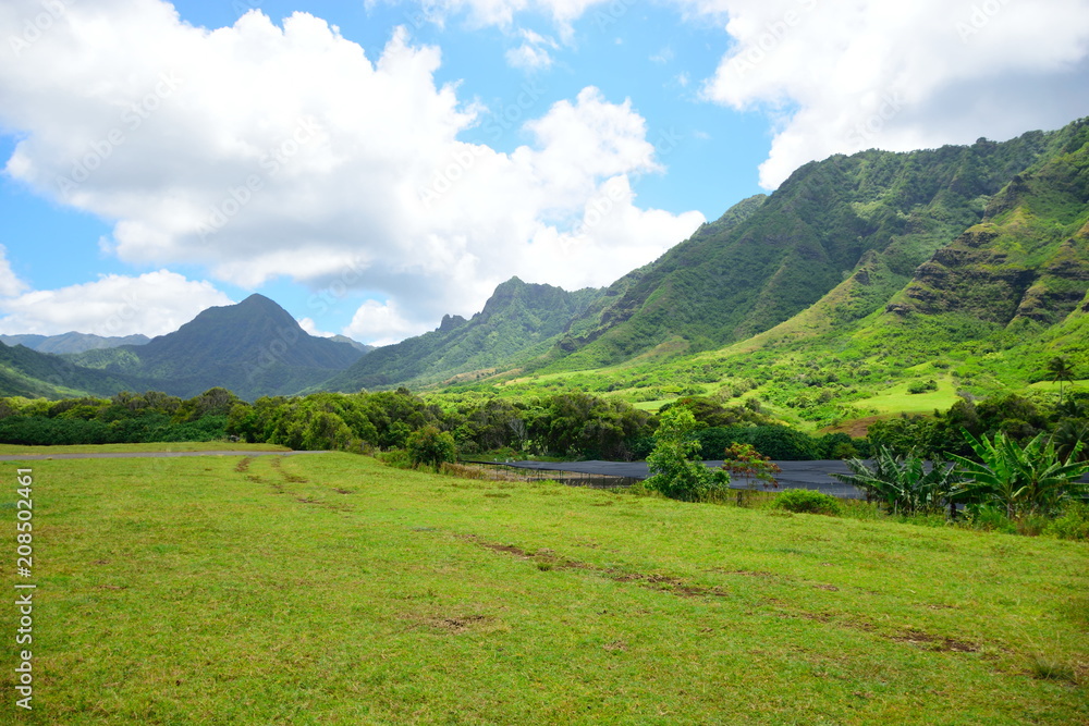 Fototapeta premium Kualoa Ranch