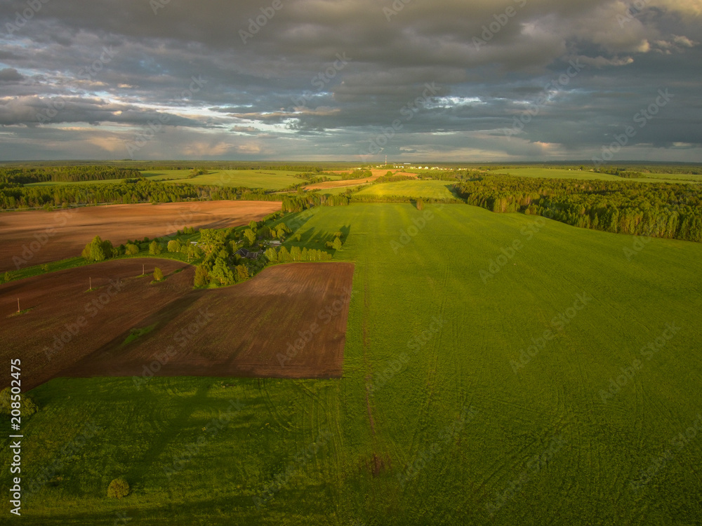 agricultural fields with a bird's eye view