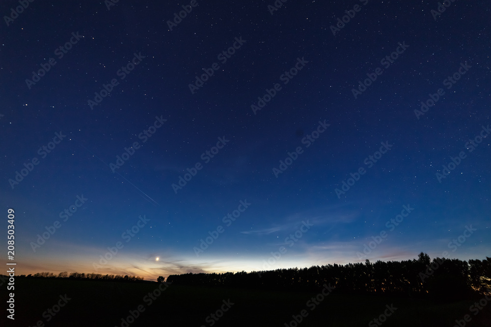 Bright star-planet Venus over the field and trees on the background of the starry sky at dusk.