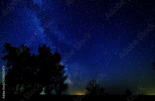 The milky way and the stars above the trees.