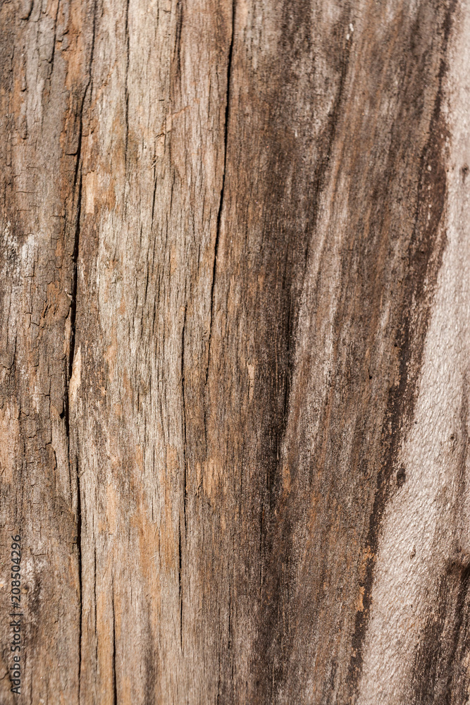 Natural brown old wooden facture with vertical cracks as background. Natural brown old wooden facture with vertical cracks as background.