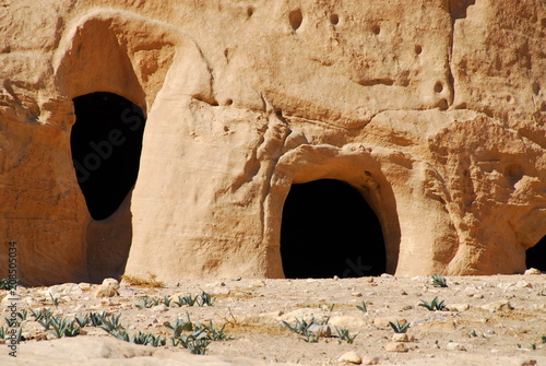 The stone caves of Petra photo