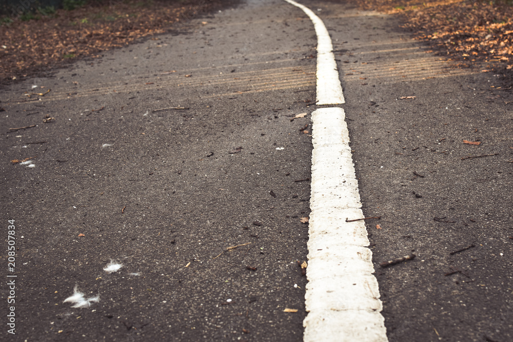 Fototapeta premium The way forward