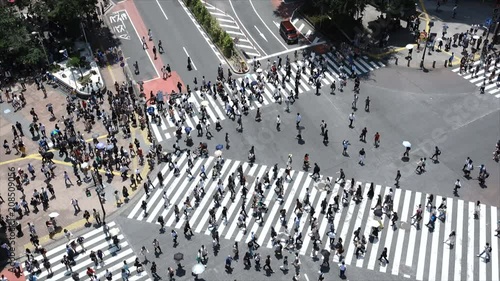 Wallpaper Mural 4K・東京・渋谷スクランブル交差点・俯瞰・ズームイン Torontodigital.ca