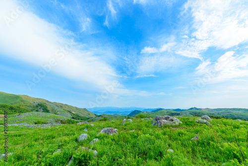 平尾台（福岡県北九州市）