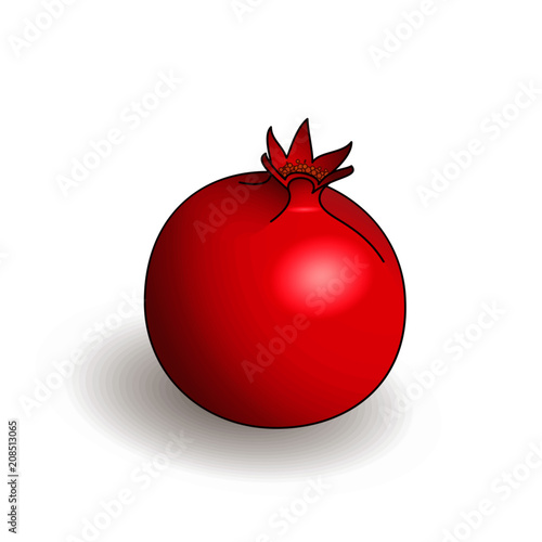 Single fresh ripe pomegranate