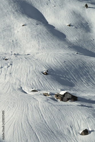 Neige brossée