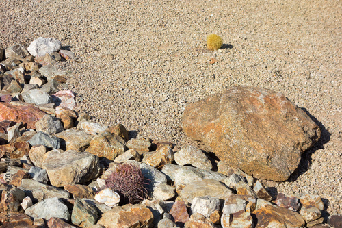 Desert landscaping with native drought tolerant cacti and natural boulder and rocks in Phoenix, Arizona