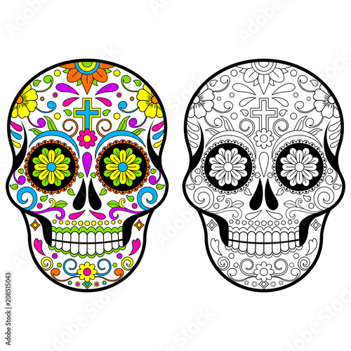 Mexican Sugar skulls  Day of the dead vector illustration on white background 