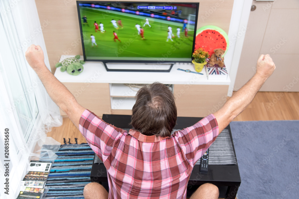 Back view of excitement man with gesturing hands up how watching soccer in  television at home. Rear view of man watching sport in TV. Football fan  celebrates goal. Photos | Adobe Stock