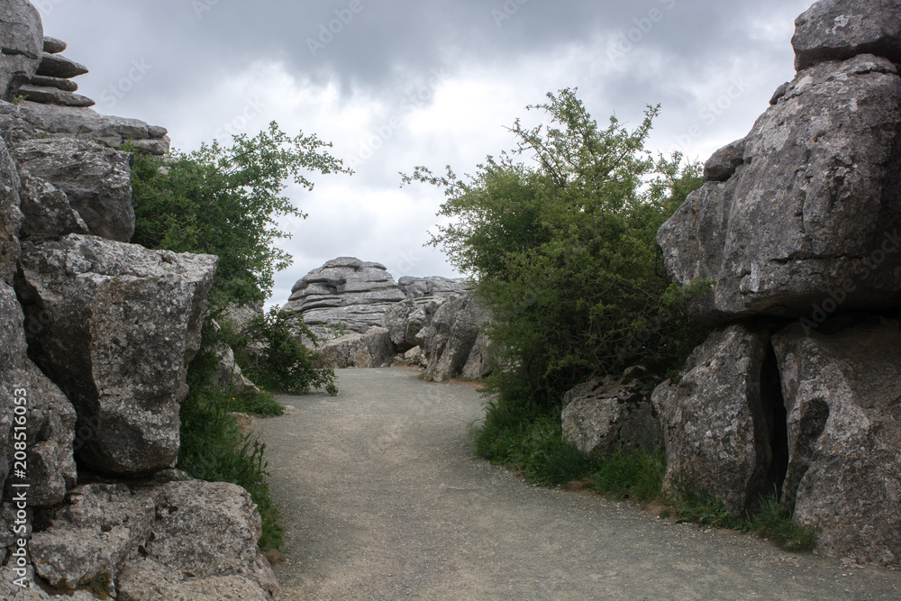 A path through a bush and cliffs