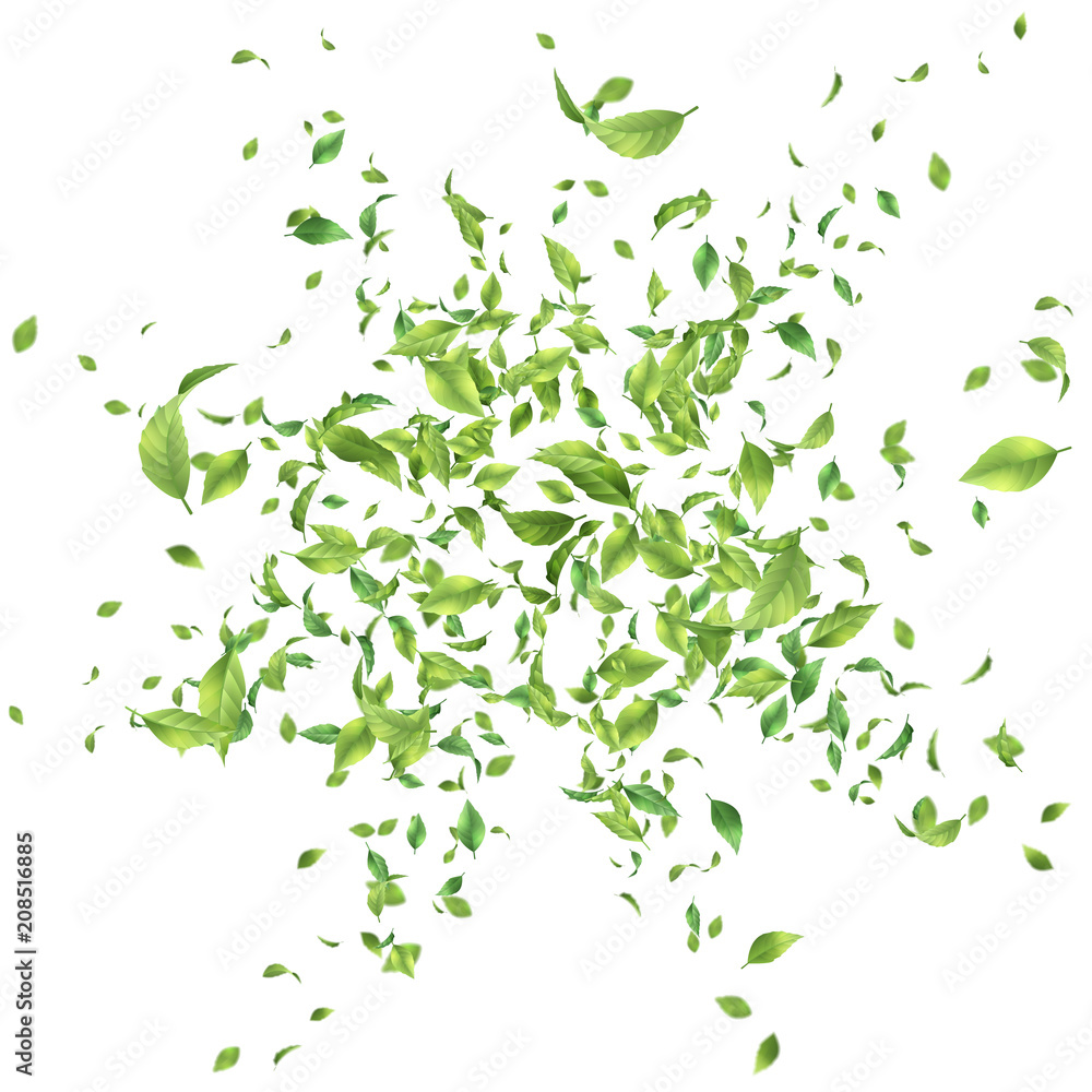 Green Flying Leaves Green Flying Leaves