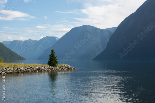 A fjord and a promontry with a tree on it a summerday 