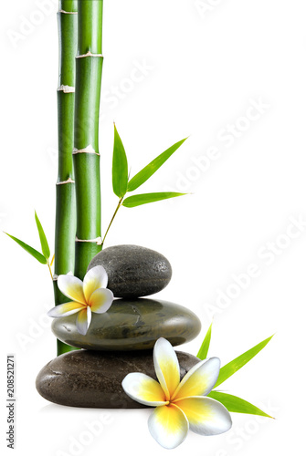 Stacked pebbles, frangipani flowers and bamboo stem and leaves