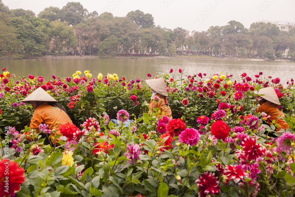 vietnam